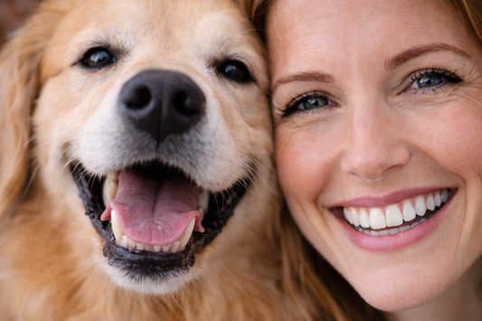 How to Build the Perfect 5-Minute Daily Dental Routine for Busy Dog Moms
