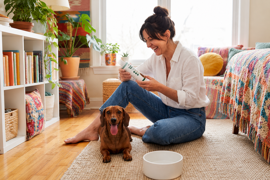 Dog Parents Are Using This One Simple Product to Avoid Big Dental Bills