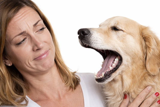 Is Your Dog’s Bad Breath Normal — Or A Cause For Concern?
