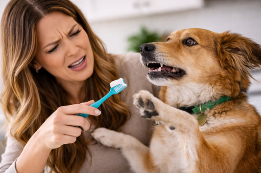 My Dog Won’t Let Me Brush Their Teeth - Now What?