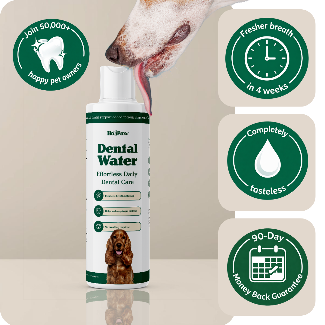 Holipaw Dental Water