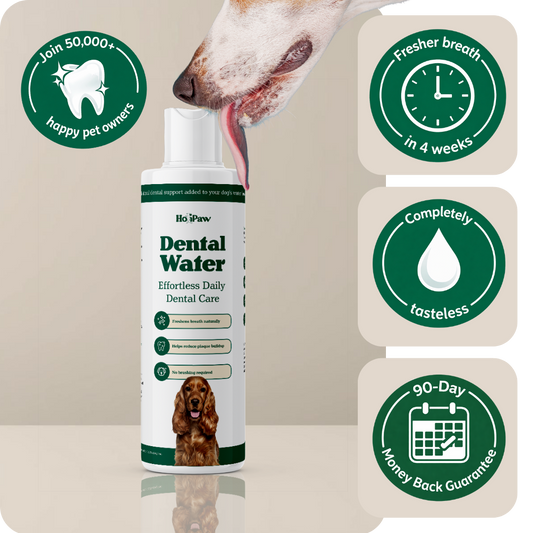 Holipaw Dental Water