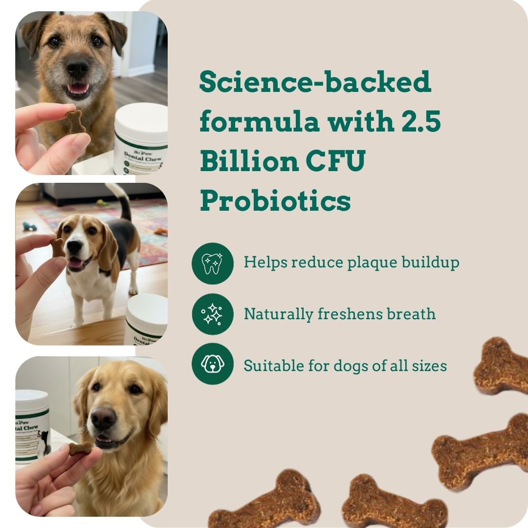 Holipaw Dental Chews