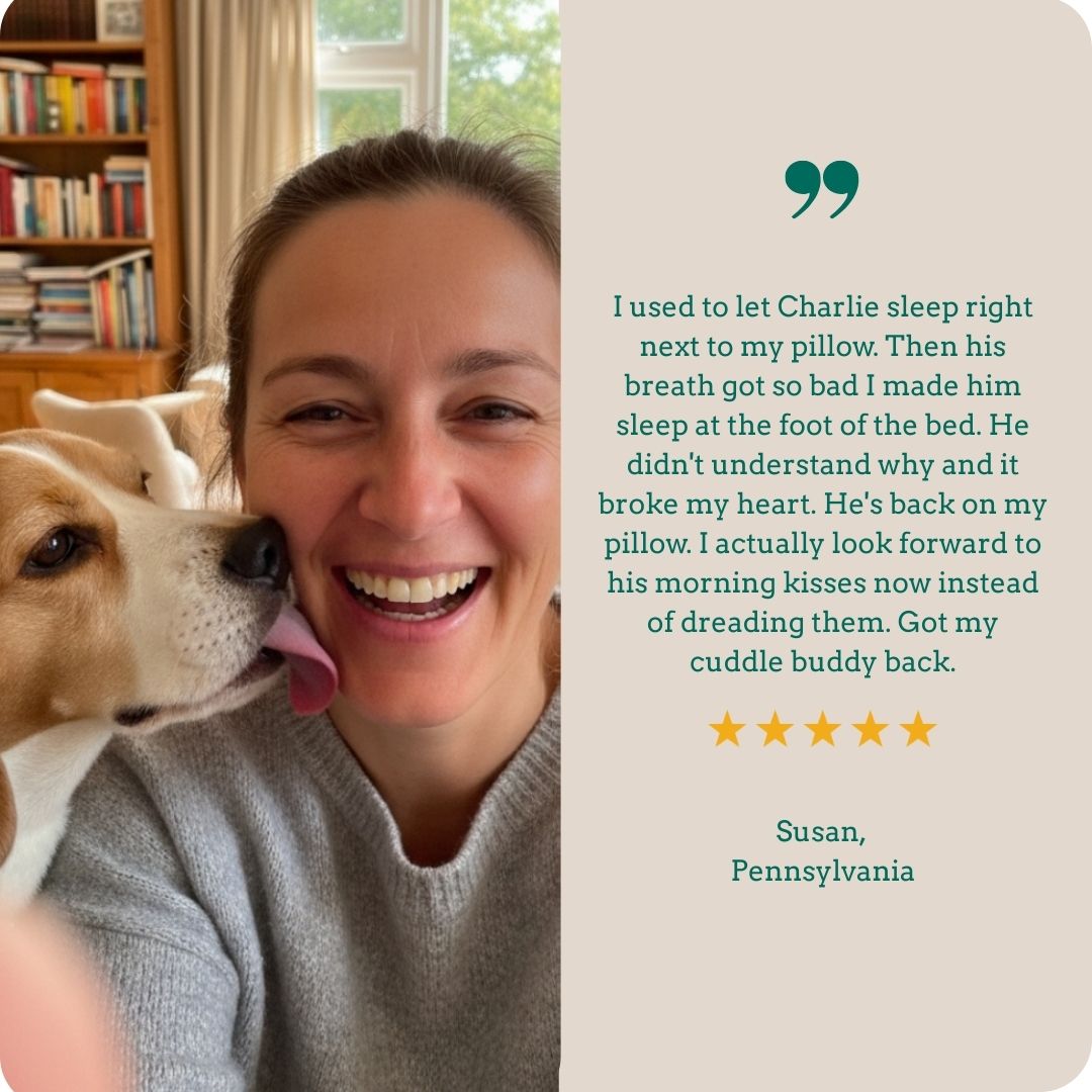 Holipaw Dental Chews
