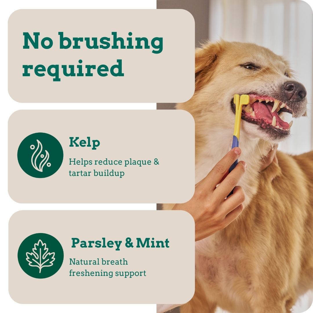 Holipaw Dental Chews