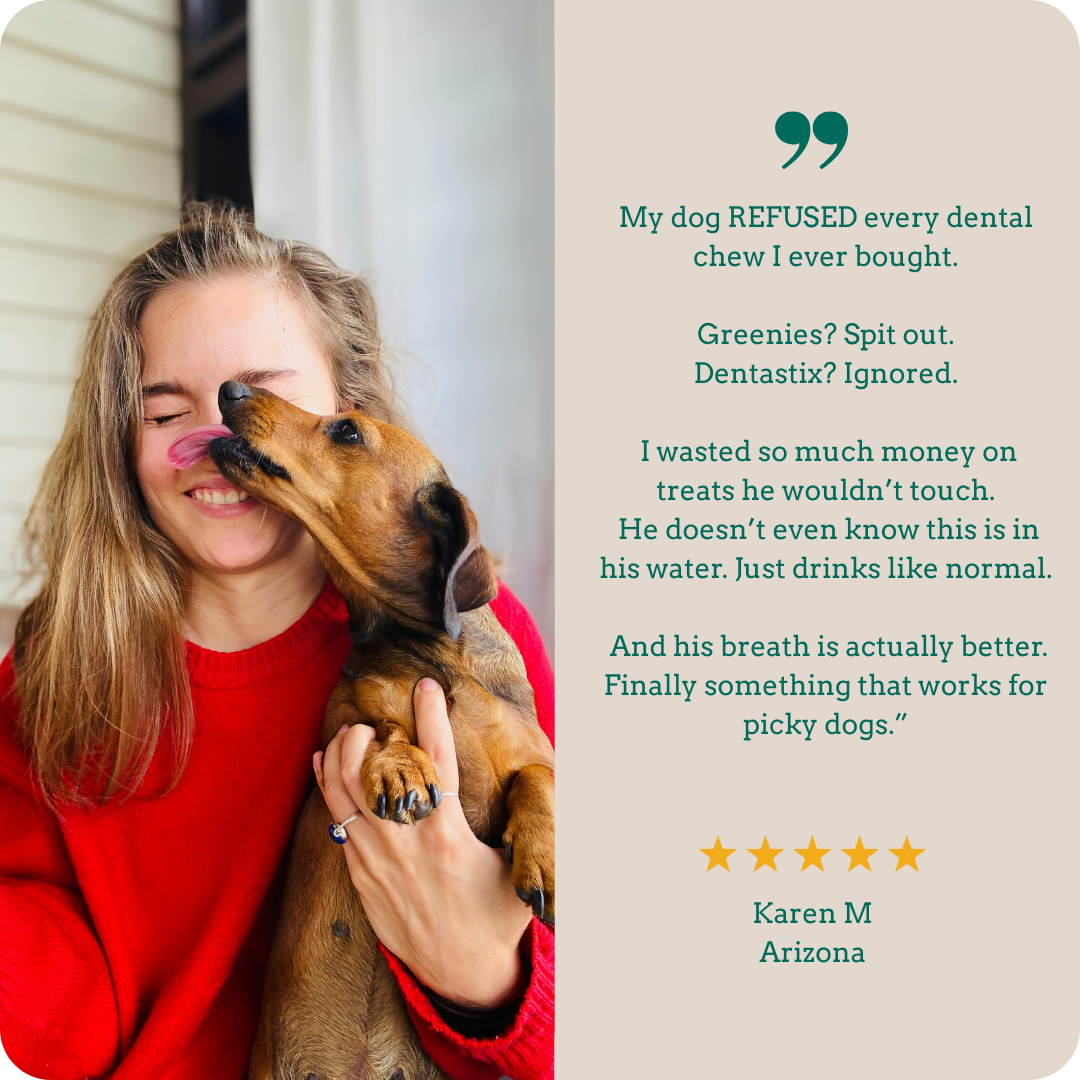 Holipaw Dental Water