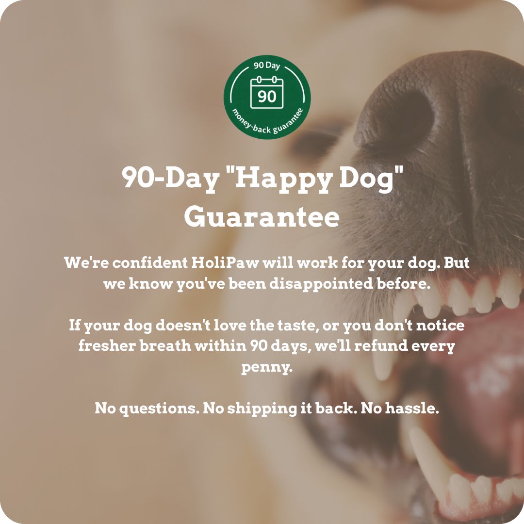Holipaw Dental Chews