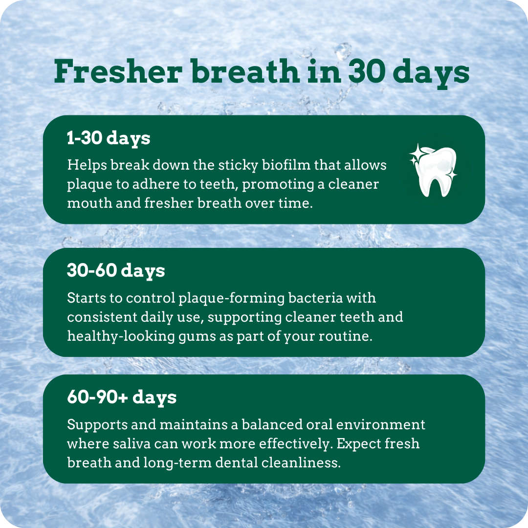 Holipaw Dental Water