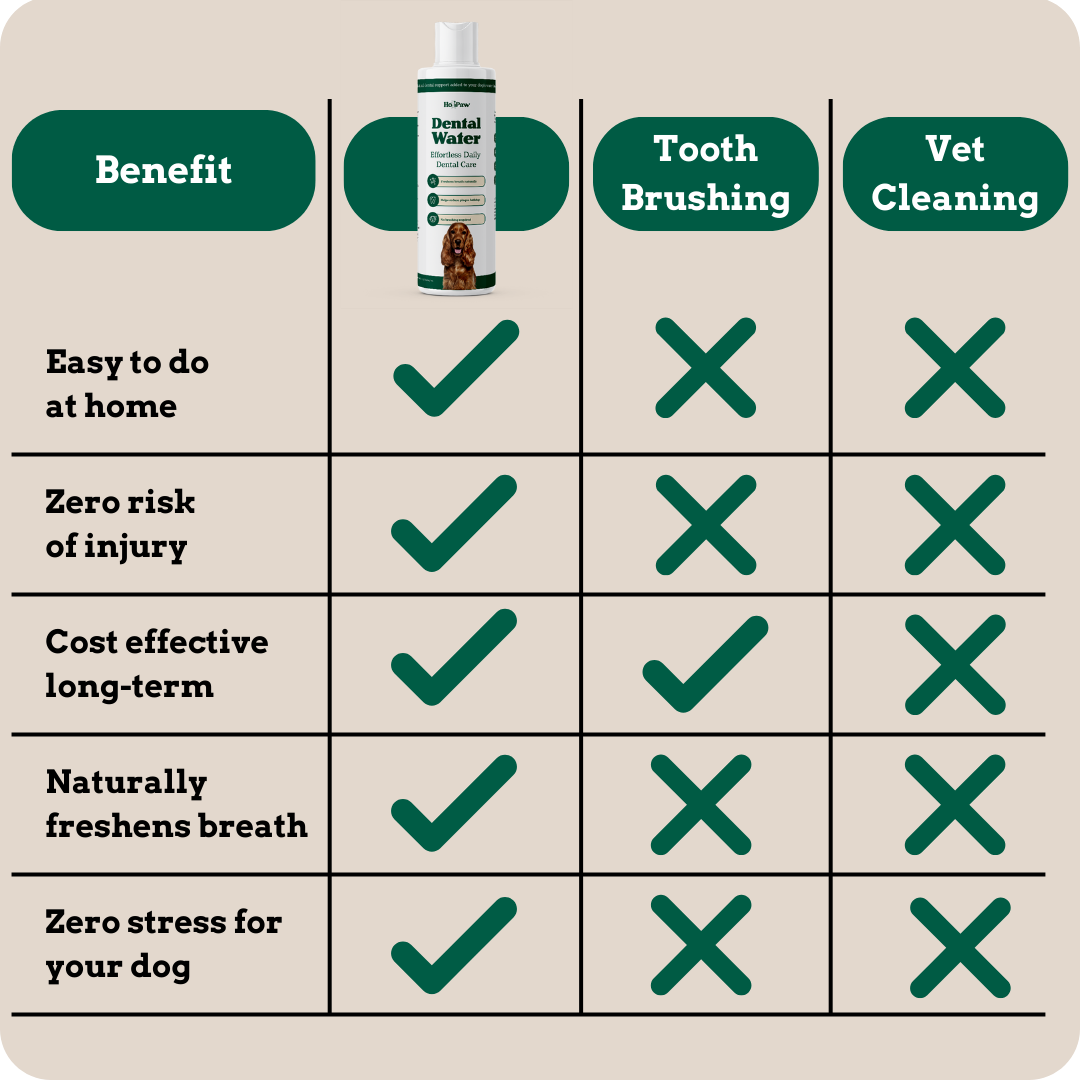 Holipaw Dental Water