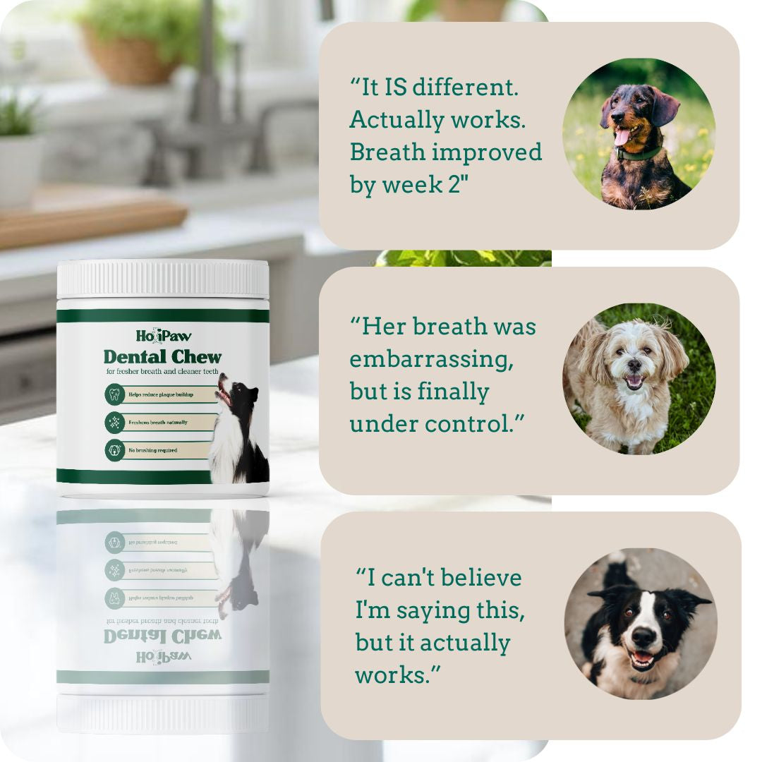 Holipaw Dental Chews