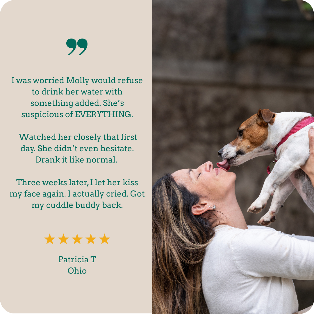 Holipaw Dental Water