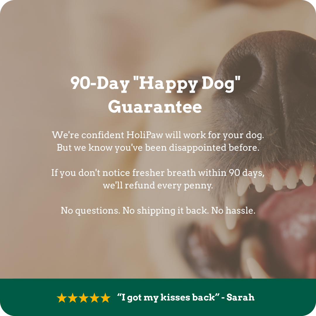 Holipaw Dental Water